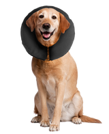 Zenpet ProCollar Schutzkragen / Halskrause für Hunde und Katzen