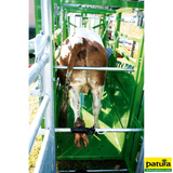 Behandlungsstand A5000