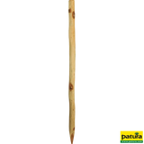 Robinienpfahl, rund, 1,5 m, d=6-8 cm, gefast, 4-fach gespitzt, entrindet