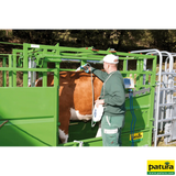 Behandlungsstand A5000