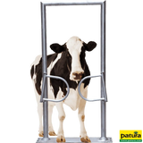 Ein-Wege-Tor, 2-flügelig, mit Rahmen