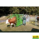 Behandlungsstand A5000