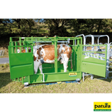 Behandlungsstand A5000