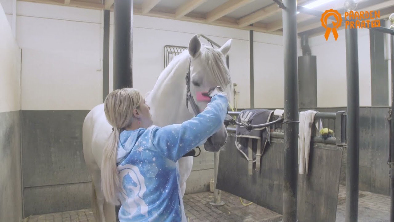 Paardenpraat Pferdebürste, rosa, Größe M