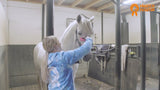 Paardenpraat Pferdebürste, rosa, Größe M