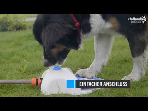 CoolPets Hundetrinkbrunnen, Pedal, Spritzdüsen, Gartenschlauch-Anschluss