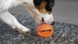 Dog Comets Hunde Ball Polaris, Naturkautschuk, grün rosa, Ø 6 cm