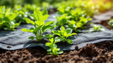 Unkrautvlies zur Unkrautbekämpfung im Garten