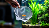 Kescher für Aquarium zum sicheren Fangen von Fischen