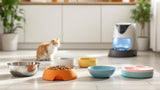 Katzennapf aus Keramik in modernem Design auf weißem Hintergrund