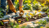 Unkrautbekämpfung: effektive Methoden und Produkte zur Entfernung von Unkraut
