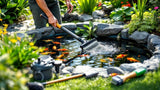 Teichreinigung mit Kescher und Filter für sauberes Wasser