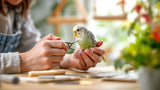 Alt-Attribute: Vogel Krallenpflege Zubehör für gesunde Vogelfüße