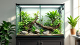 Glasterrarium für Reptilien und Pflanzen, hochwertiges Terrarium aus Glas