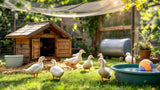 Enten Zubehör – praktisches Zubehör für Entenhaltung und Pflege