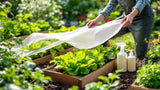 Pflanzenschutzmittel und Zubehör für effektiven Pflanzenschutz im Garten