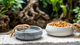 Wasser- und Futterschale für Haustiere aus robustem Material