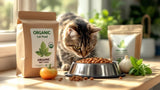 Bio Katzenfutter in hochwertiger Qualität für gesunde Ernährung von Katzen