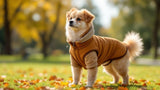 Hunde-Bekleidung in verschiedenen Größen und Designs für jeden Hund