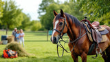 Freizeitpferd auf Weide stehend