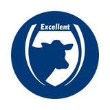 Excellent Logo