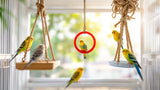 Vogelschaukeln aus Holz für Wellensittiche und andere Ziervögel