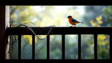 Vogelschutznetz zum Schutz von Pflanzen und Obstbäumen vor Vögeln