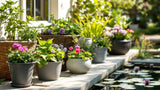 Pflanzkörbe aus Naturmaterialien für Garten und Balkon