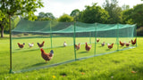 Hühnernetz aus robustem Drahtgeflecht für den Gartenzaun