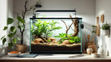 Terrarienzubehör für Reptilien und Amphibien online kaufen