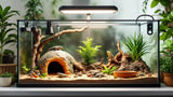 Reptilienzubehör für Terrarium – hochwertiges Zubehör für Reptilien kaufen