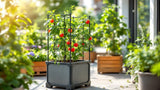 Rankgefäße aus robustem Material für Garten und Terrasse