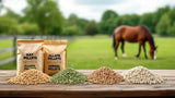 Pellets für Pferde als hochwertiges Ergänzungsfutter