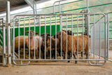 Mini-Weidepanels