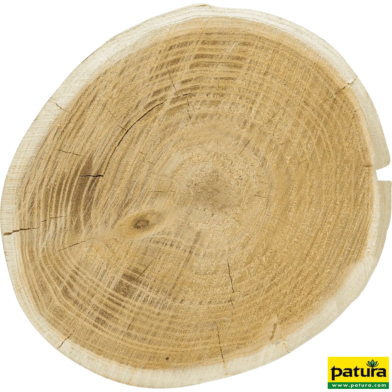 Robinienpfahl, rund, 2500 mm, Ø 14–16 cm, gefast, 4-fach gespitzt, entrindet