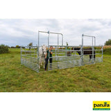 Sicherheits-Pferde-Panel mit Schiebetor 3,60 m, Höhe 2,50 m