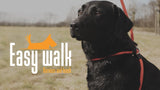 Easy Walk Geschirr mit Leine, Handmodell, Mini, Rot, 210 cm