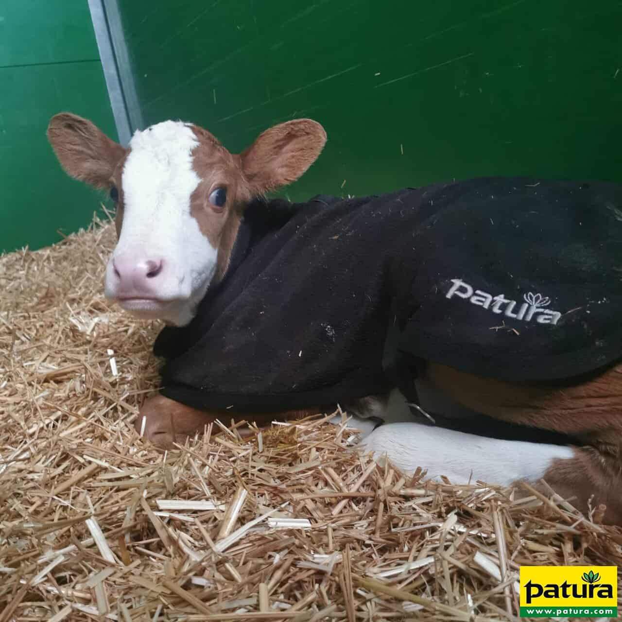 PATURA Kälberdecke Fleece Größe S Rückenlänge 60 cm