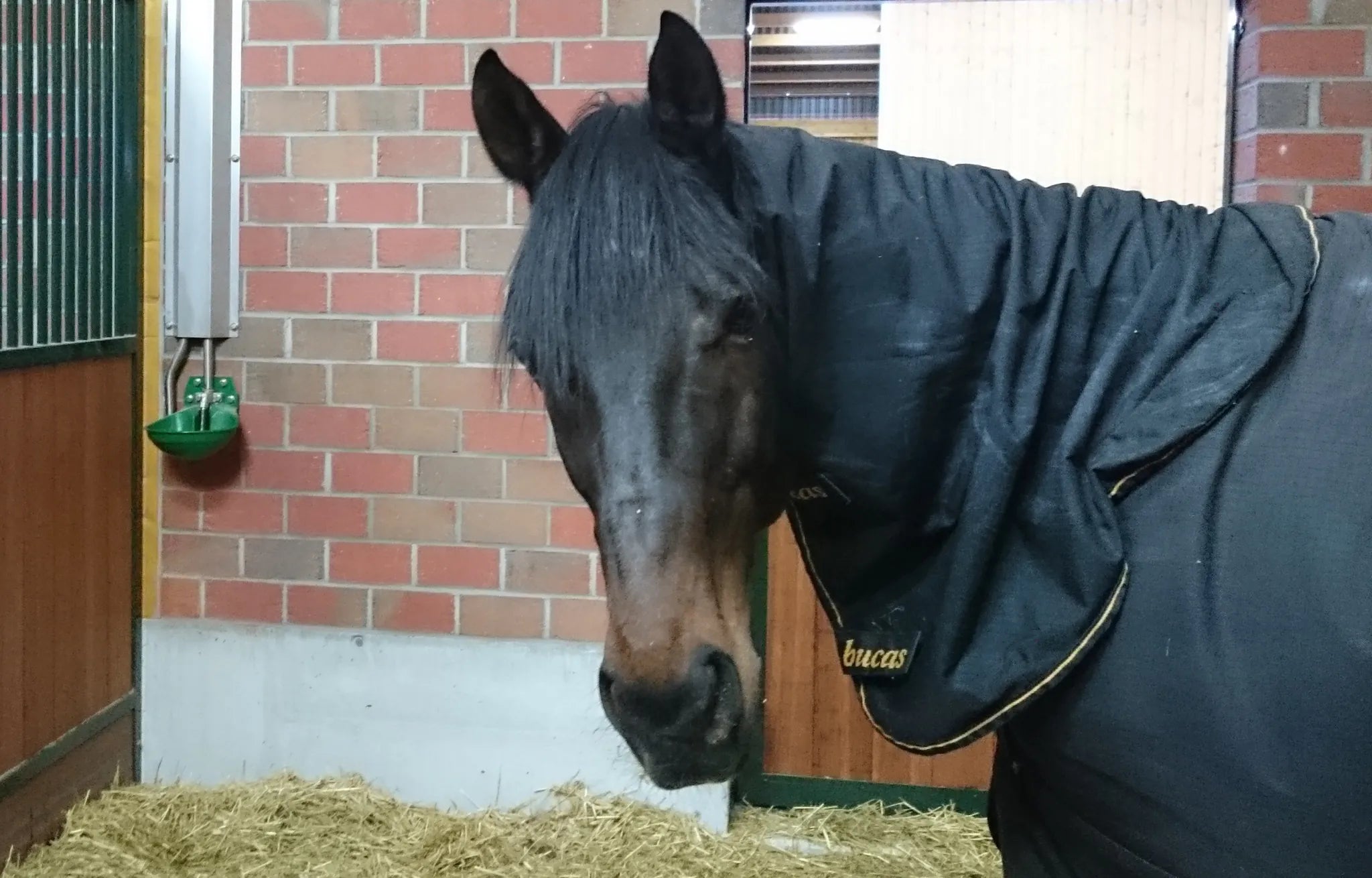 Rohrventil-Becken Mod. 12P mit 3/4" Edelstahlventil