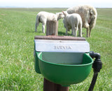 Schwimmerventil-Becken Mod. 130P