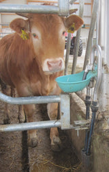 Rohrventil-Becken Mod. 25R mit 3/4" Edelstahlventil