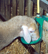 Rohrventil-Becken Mod. 370