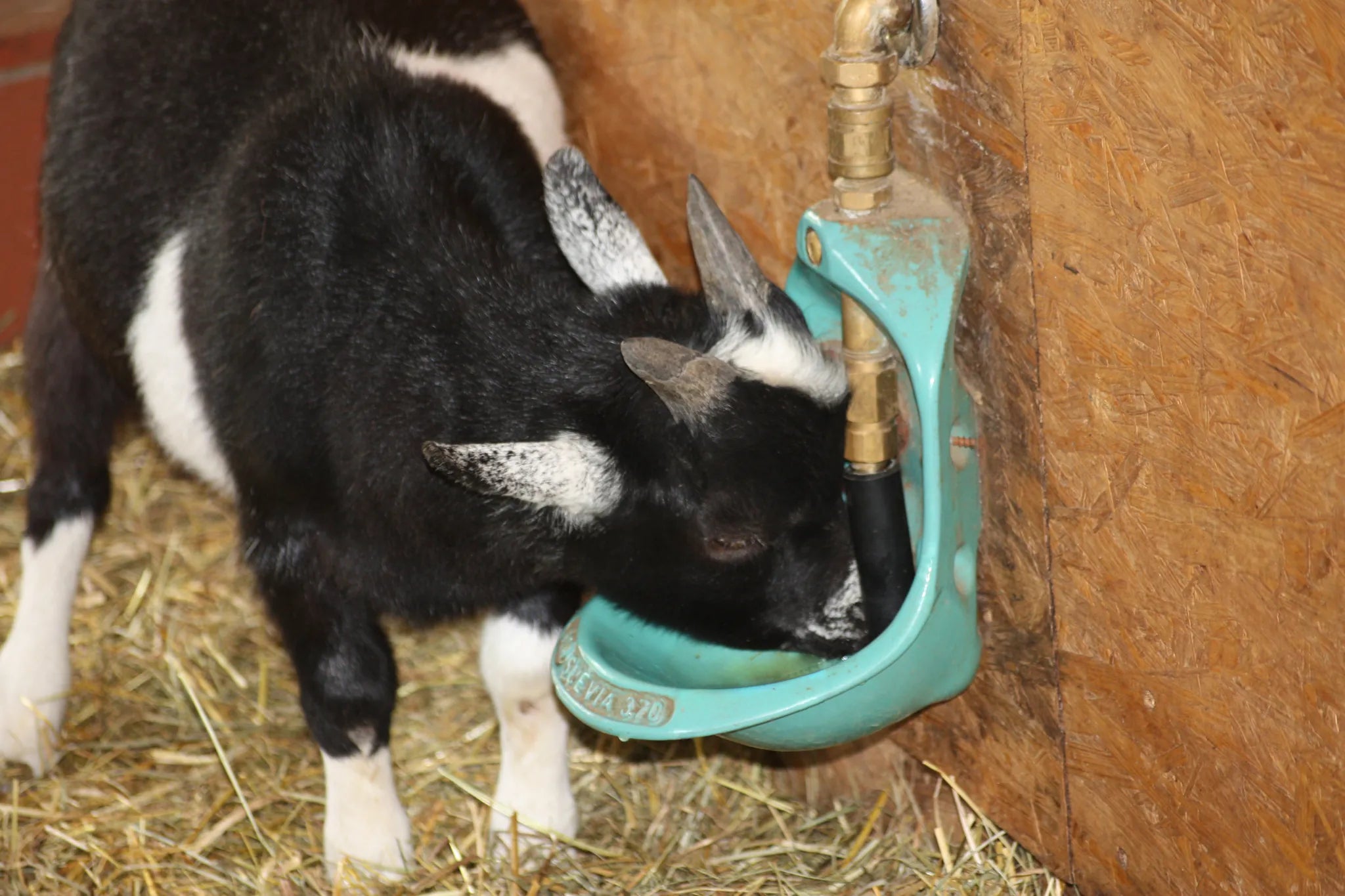 Rohrventil-Becken Mod. 370