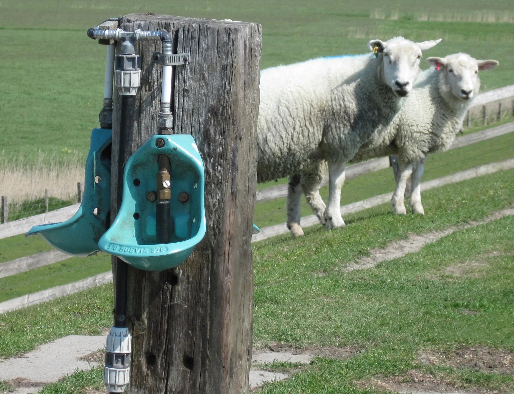 Rohrventil-Becken Mod. 370