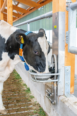 Edelstahl-Rohrventilbecken Mod. 1200 mit 3/4" Messingventil