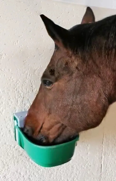 Schwimmerventil-Becken Modell 135PH Hochdruckventil, Inhalt 6 Liter