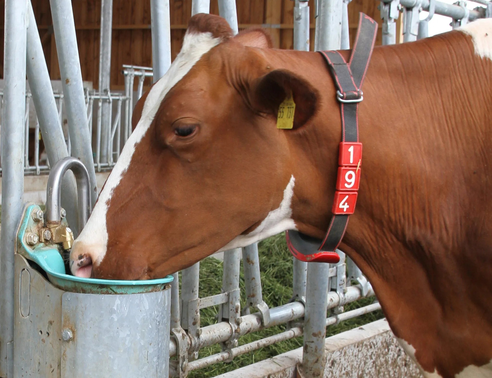 Stahlständer für Mod. 25 R Höhe 80 cm, feuerverzinkt