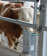 Stahlständer für Mod. 25 R Höhe 80 cm, feuerverzinkt