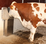 Schwimmer-Trogtränke Mod. 600 Edelstahl