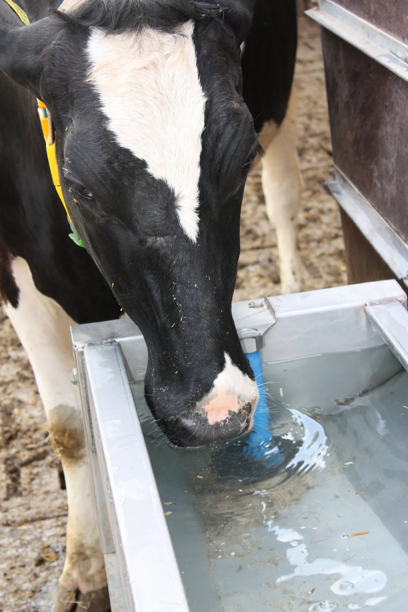 Schnellablauf-Trog 4,20 m (325 l) Modell 6742 für Wandmontage, Edelstahl